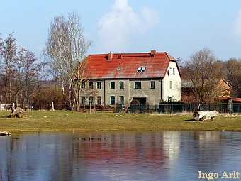 Tourneymhle Altentreptow - Ansicht mit Teich