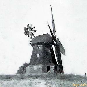 Windmhle Altwarp - in Betrieb un 1920