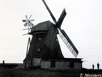 Windmhle Bad Slze - Mhle in Betrieb 1950