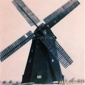 Windmhle Klaas in Krslin - Ansicht 1950