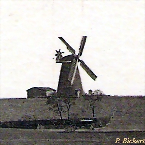 Turmhollnder in Neustrelitz - Mhlenberg 1920