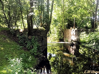 Wassermhle Radelbbe - Reste am Bachlauf heute