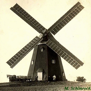 Windmhle Wolgast Braun - in alter Pracht 1910