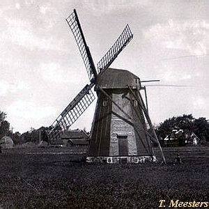 Windmhle Zingst Wilde - Ansicht 1910