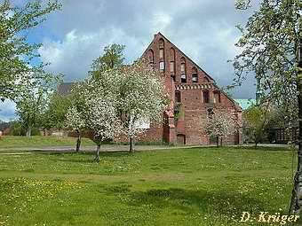 Backhausmhle Bad Doberan -  Ruine des Brauhaus mit Mhle 2005