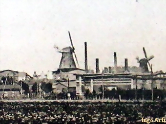 Windmhle Friedland der Turmhollnder - Ansicht 1905