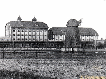 Genossenschaftsmhle in Grimmen - Ansicht mit Windmhle Stein 1924