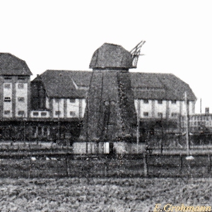 Windmhle Stein in Grimmen - kurz vor Abri 1924