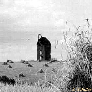 Windmhle in Laage Paltrock - Ansicht 1940