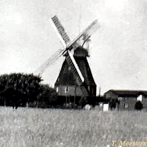 Windmhle Malchow - historische Ansicht 1935