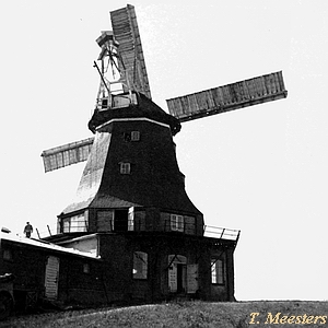 Windmhle Neukloster - in Betrieb 1932