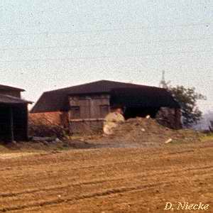 Erdhollnder in Thulendorf - Mhlenstumpf mit Dach als Schuppen 1975