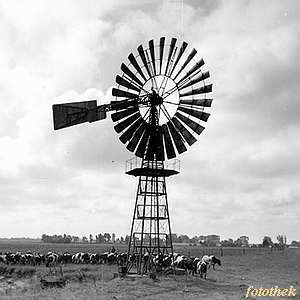 Windrad in Rambin - Ansicht um 1960