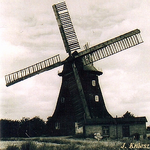 Windmühle Rerik - Ansicht 1920