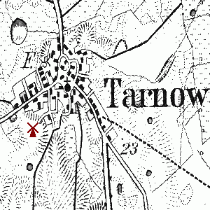 Windmhle Tarnow - in alter Pracht 1919