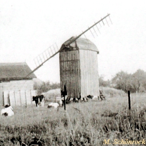 Windmhle Wusterhusen - Ansicht um 1930
